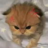 honggdiemm03