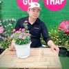 baotong_