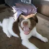 kaizuru_ml