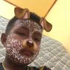 syamphan.lpb2003