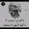 user11294056923271