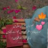 syeda.sana97