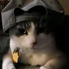 chubbs0011