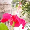 zakariaothman97