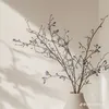 khhanhllinh