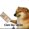 doilaiphuvsminh