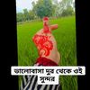 user13251184112682