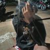 xzbodong
