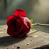 imuhammadjunaid8