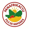 panafrikactu