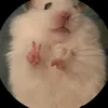 bichhangbidien