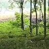 yewliangwong