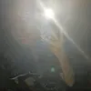 suzannebigot2