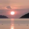 luci_ttt