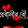 monne87702195917