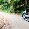 bitibetar_