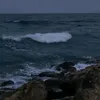 zvmo.9