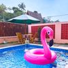 kafiza_1243