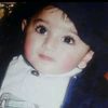 saifmalik8183