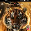 revogb21
