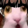 .k.haru_