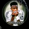 hashemanalasady