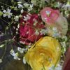 rubi.islam633
