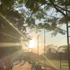 elliewang17