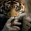 gdtk.t