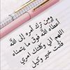user2866577941261