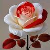 user386185151