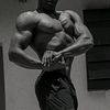 adonisfit4