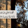 amnah_202