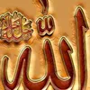 user8482451344633