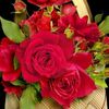 user3600433406181