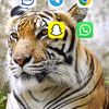 user3314325410819