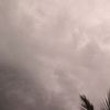 lizbet_lm_