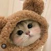 yan_kaa76