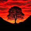 steven.richardson72