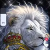 user9231042928498