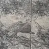 silviohist45