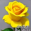 bshra_slman