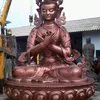 nguynsinhcung