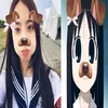 bellis_visx