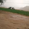 user8314833453101