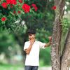 yamin42688