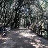 mireyasantillan40