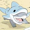 jeffthelandsharkbeach