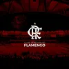 rafaelcardoso3246