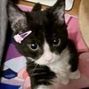 dannam_b